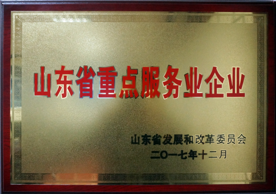 2017年山东省重点服务业企业