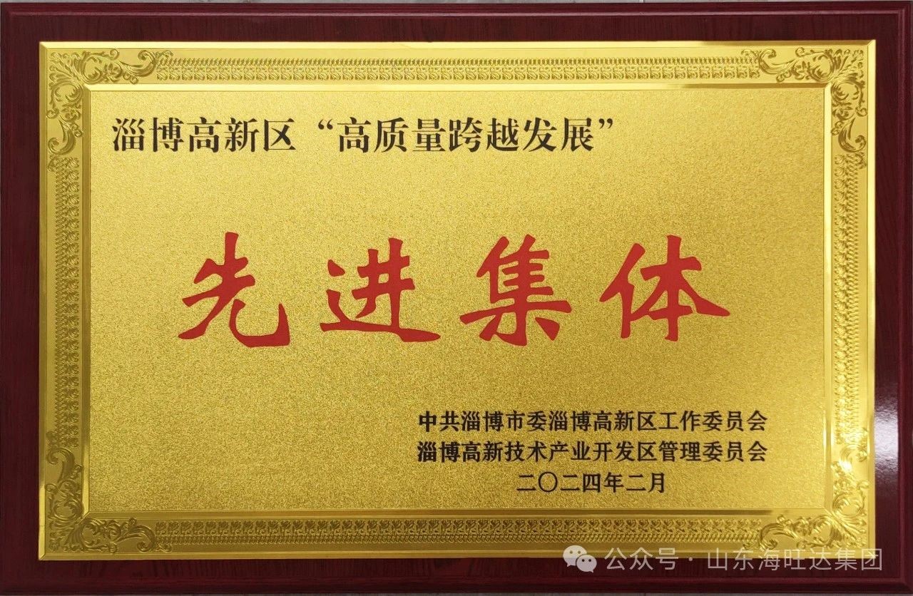 2024年“高质量跨越发展”先进集体