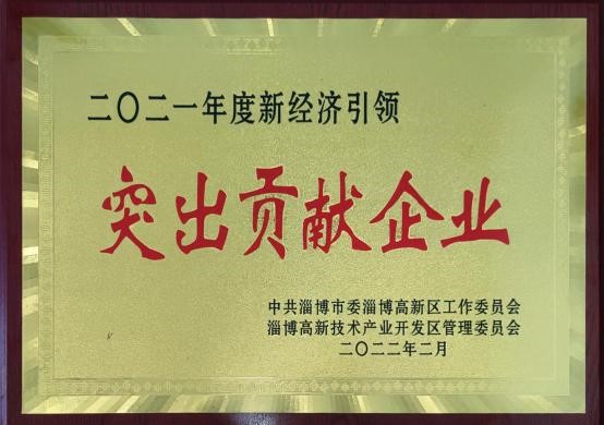 2022年新经济引领突出贡献企业